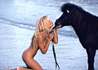 PAMELA_ANDERSON_50.JPG